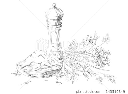 Wooden handcrafted pepper grinder, mixed herbs, salt cellar. Kitchen seasoning, fragrant plants and cooking accessories. Isolated hand drawn pencil illustration. Gastronomy magazines, chef training Wooden handcrafted pepper grinder, mixed herbs, salt cellar. Kitchen seasoning, fragrant plants and cooking accessories. Isolated hand drawn pencil illustration. Gastronomy magazines, chef training 143510849