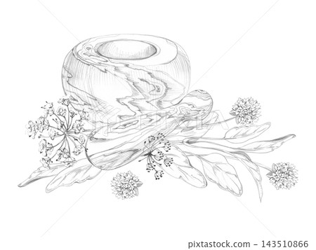 Wooden mortar, pestle. Basil, dill and chives flowers. Aromatic herbs, culinary plants isolated hand drawn pencil illustration. Mediterranean cuisine, cooking magazines, ingredient guides, gastronomy. Wooden mortar, pestle. Basil, dill and chives flowers. Aromatic herbs, culinary plants isolated hand drawn pencil illustration. Mediterranean cuisine, cooking magazines, ingredient guides, gastronomy. 143510866