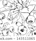 Seamless pattern of huckleberry, bilberry berries, blueberries. Dense clusters of ripe forest fruit, leaves rosettes. Isolated illustration hand drawn in vector ink. Foraging manuals, hiking journals 143511065