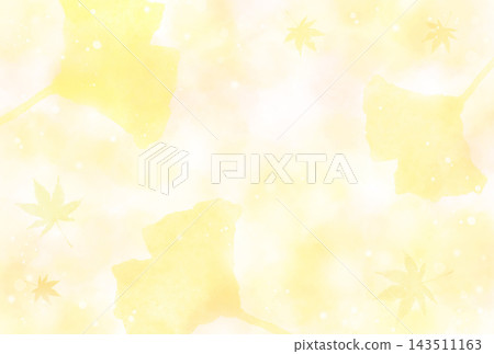 秋葉和銀杏葉的水彩背景素材，柔和的光線下飄落著金色的楓葉和銀杏葉。 143511163