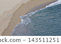 Seagulls Gathered on Mediterranean Beach Near the Water 143511251