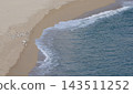 Flock of Seagulls Resting on Sandy Beach by the Sea 143511252