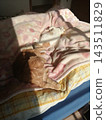 Friendly cats basking in the sun 143511829