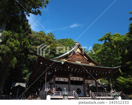 A renowned shrine revered by Omi merchants! The beautiful worship hall and sacred forest of Himure Hachimangu Shrine in Omihachiman. 143512153
