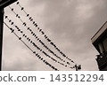 Many birds perched at equal intervals on numerous power lines against a cloudy sky. 143512294