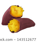 Sweet potato illustration 143512677