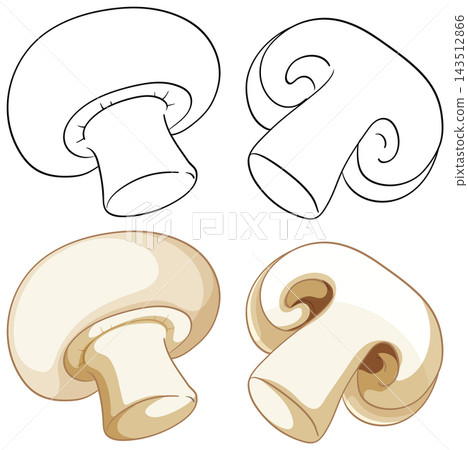 Vector Illustration Set of Whole and Sliced Button Mushrooms 143512866