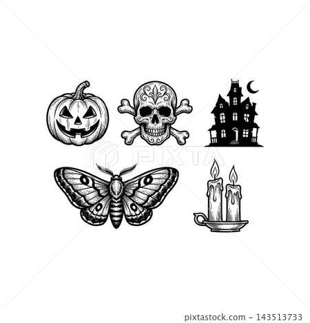 Set of Hand Drawn Halloween Icons and Gothic Elements. Set of Hand Drawn Halloween Icons and Gothic Elements. 143513733