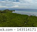 Aerial view of lush green mangrove forest extending to the ocean with a long wooden walkway. Bohol, Philippines 143514171