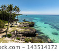 Aerial view of a turquoise sea and rocky shore lined with palm tree in Anda, Bohol, Philippines 143514172