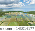 Aerial view of aquaculture fish pond and marine farm located along the coastline. Bohol, Philippines 143514177
