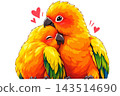 A pair of parrots 143514690