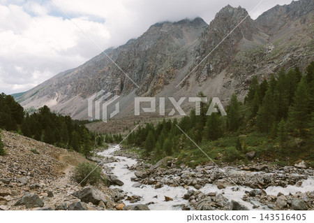 Mountain river flowing through Aktru valley with rocky ridges Mountain river flowing through Aktru valley with rocky ridges 143516405