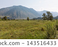 Panoramic view of green grass meadow in Chulyshman Valley landmark 143516433