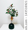 僅使用金銀花（Ardisia crenata）製作的新年花束 143516921