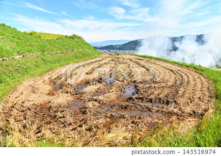 Rice field where rice crop was over Rice field where rice crop was over 143516974