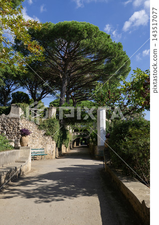 Covered Walk of Villa Cimbrone Gardens in Ravello Italy Covered Walk of Villa Cimbrone Gardens in Ravello Italy 143517077