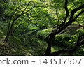 Ritsurin Garden in the warmth of spring (late April) Ritsurin Garden in the warmth of spring (late April) 143517507