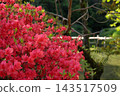 Ritsurin Garden in the warmth of spring (late April) Ritsurin Garden in the warmth of spring (late April) 143517509