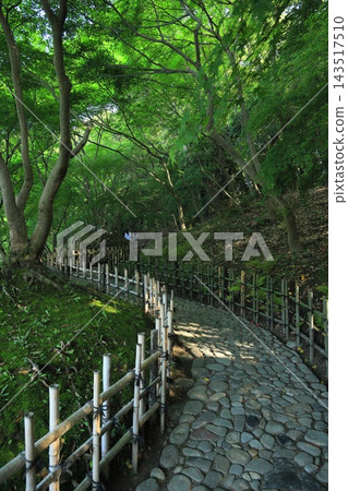 Ritsurin Garden in the warmth of spring (late April) Ritsurin Garden in the warmth of spring (late April) 143517510