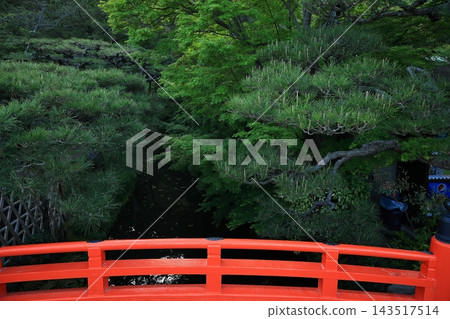 Ritsurin Garden in the warmth of spring (late April) Ritsurin Garden in the warmth of spring (late April) 143517514