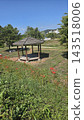 Cozy wooden gazebo in garden backyard landscape 143518006