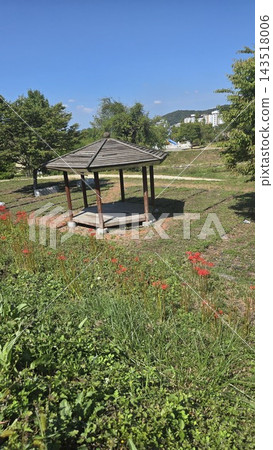 Cozy wooden gazebo in garden backyard landscape Cozy wooden gazebo in garden backyard landscape 143518006