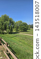 Scenic country road along green fields and lush trees 143518007