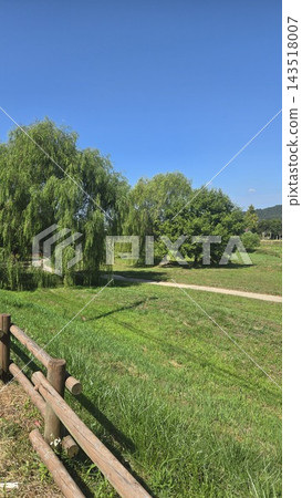 Scenic country road along green fields and lush trees Scenic country road along green fields and lush trees 143518007