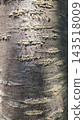 Rough texture of old mossy tree bark close up 143518009