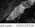 A monochrome landscape of a bamboo forest viewed through a gap in a giant rock. 143519726