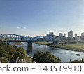 現代的藍色拱形丸子橋橫跨日本東京的多摩川。 143519910