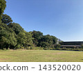 在陽光明媚的日子裡，日本東京一座綠樹成蔭、草坪寬闊的公園顯得格外美麗。 143520020