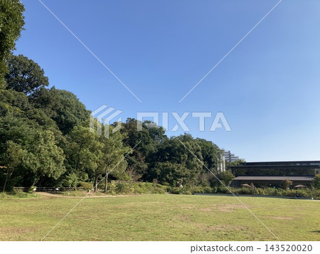 在陽光明媚的日子裡，日本東京一座綠樹成蔭、草坪寬闊的公園顯得格外美麗。 143520020