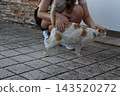 Orange and white cat walking beside a crouching woman who gently strokes its back, showing a friendly outdoor interaction and a relaxed moment of human and animal companionship. 143520272
