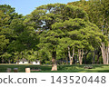 名城公園 143520448