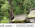 【福井縣大濱市】若彥神社的千年杉樹 143521045