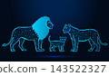 Low poly wireframe lion family on dark blue background. 143522327