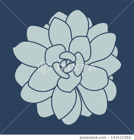 Silhouette of succulent. Desert flower sketch. Outline drawing plant. Succulent doodle style. Pattern. Silhouette of succulent. Desert flower sketch. Outline drawing plant. Succulent doodle style. Pattern. 143522368
