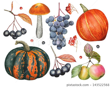 Hand drawn harvest set. Watercolor illustration. Hand drawn harvest set. Watercolor illustration. 143522568