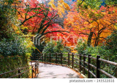 path with colorful autumn leaves at Minoh waterfall park, Osaka path with colorful autumn leaves at Minoh waterfall park, Osaka 143522818
