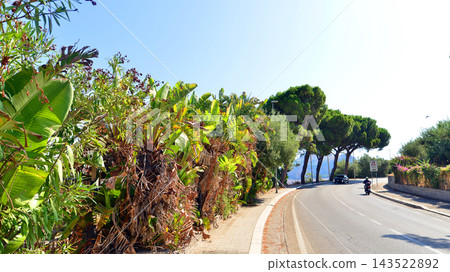 Cefalu, Italy. 21 August 2026. Lush greenery and beautiful architecture line the Settentrionale Sicula. It is a historic, incredibly picturesque road running along Sicily's northern coast. Cefalu, Italy. 21 August 2026. Lush greenery and beautiful architecture line the Settentrionale Sicula. It is a historic, incredibly picturesque road running along Sicily's northern coast. 143522892