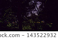 The dance of fireflies floating in the darkness 143522932
