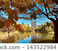 A cluster of buildings seen through autumn foliage 143522984