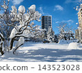 Snow scene 143523028