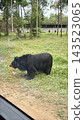 在越南富國島珍珠野生動物園，從車內可以看到馬來熊。 143523065