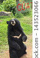 在越南富國島珍珠野生動物園，從車內可以看到馬來熊。 143523066