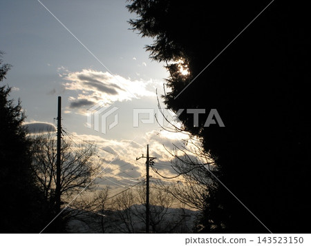 樹木的輪廓和透過雲層灑下的夕陽 樹木的輪廓和透過雲層灑下的夕陽 143523150
