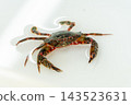 Benitsuke crab 143523631