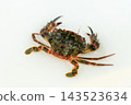 Benitsuke crab 143523634